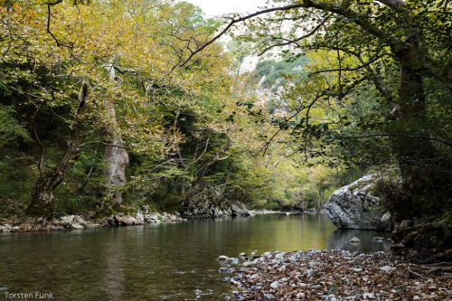 Herbstfarben am Voidomatis