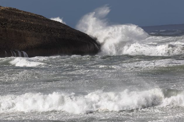 Verstecktes Häschen