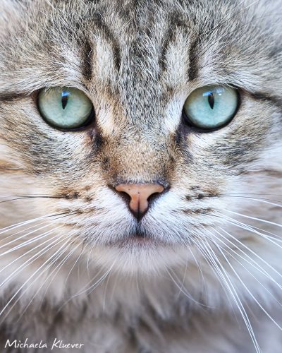 Müder Blick