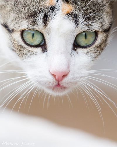 Intensiver Blick