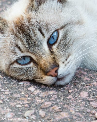 Lässiger Blick