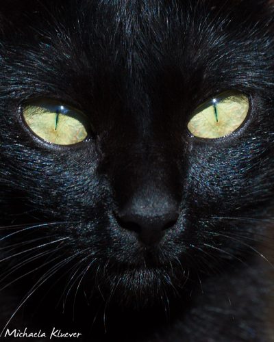 Mysteriöser Blick
