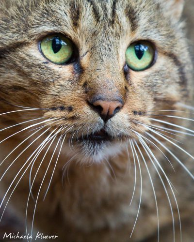 Schöne Augen