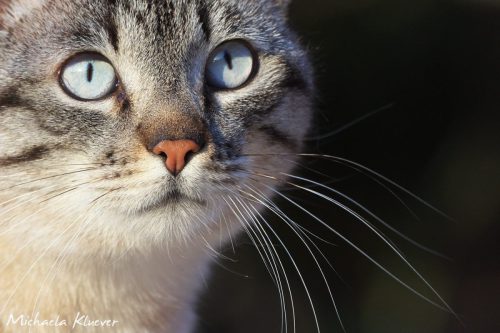 Blick in die Ferne