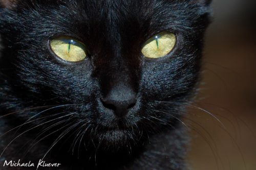 Mysteriöser Blick