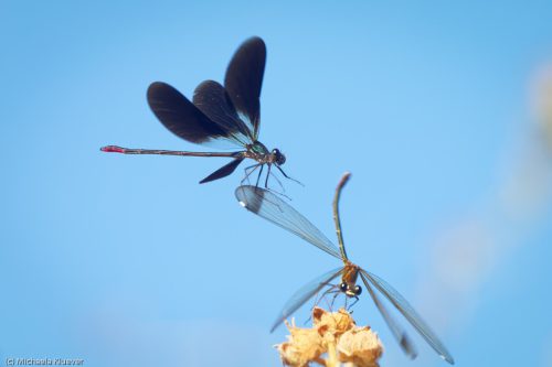 Interaktion im Flug
