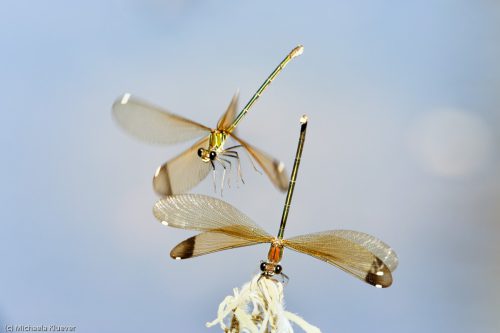 Interaktion im Flug