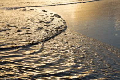 Wasser und goldenes Licht