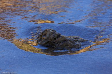 Wasser und blau-goldenes Licht