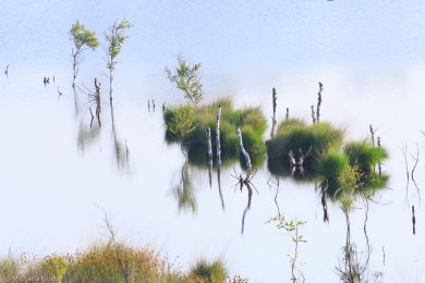 Fotografie Magisches Licht im Teufelsmoor