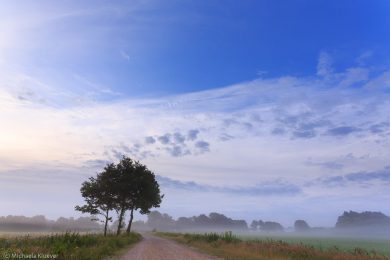 Fotografie Magisches Licht im Teufelsmoor
