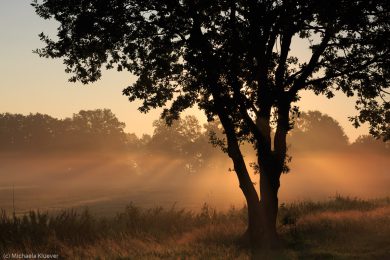 Fotografie Magisches Licht im Teufelsmoor