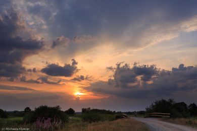 Fotografie Magisches Licht im Teufelsmoor
