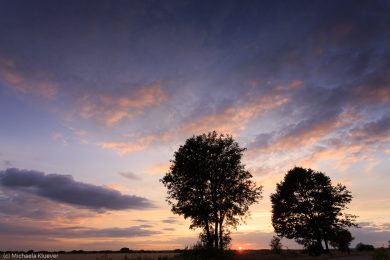 Fotografie Magisches Licht im Teufelsmoor