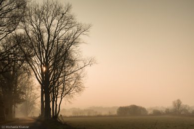 Fotografie Magisches Licht im Teufelsmoor