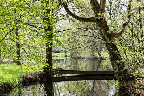 Moorweiher