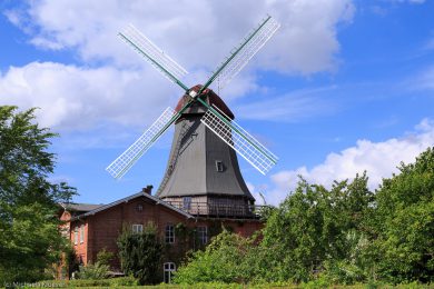 Fotografien der Windmuehlen im Teufelsmoor