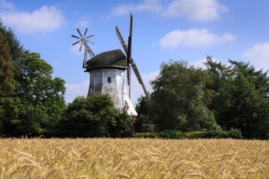 Fotografien der Windmuehlen im Teufelsmoor