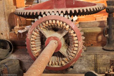 Fotografien der Windmuehlen im Teufelsmoor